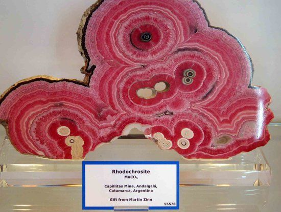 Colorado School of Mines Geology Museum